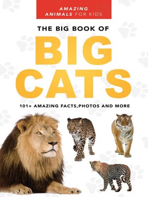 cover image of The Big Book of Big Cats